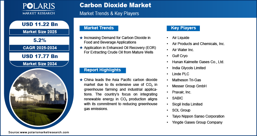 Carbon Dioxide Market Size